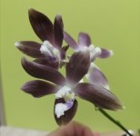 IMG_20201127_220500.jpg