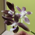 IMG_20201127_220444.jpg