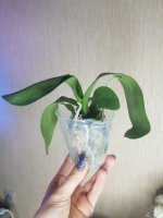 20201127_190107.jpg