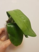 20201127_222039.jpg