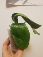 20201127_222106.jpg