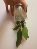 20201127_222116.jpg