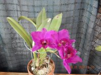 DSCN7798.JPG