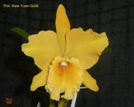 DSCN7804.JPG