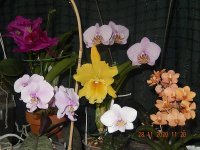 DSCN7795.JPG