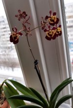 20201128_123229.jpg