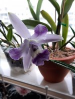 20201128_123147.jpg