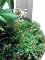 20201128_134222.jpg