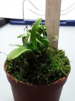 20201128_134137.jpg