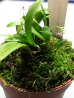 20201128_134028.jpg