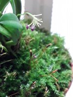 20201128_134226.jpg