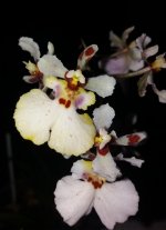 20201121_110236.jpg