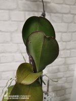 IMG_20201128_193636.jpg