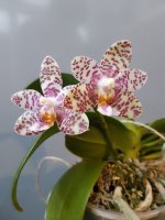 20201129_130234.jpg