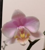 IMG_20201129_225818.jpg