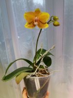 20201130_120258.jpg