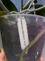 20201130_120309.jpg
