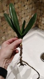 IMG_20201202_083050.jpg