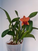 20201202_133851.jpg