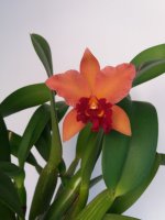 20201202_133907.jpg