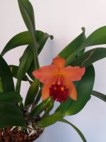 20201202_133914.jpg