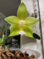 IMG_20201202_210709.jpg