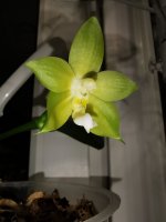 IMG_20201202_210745.jpg