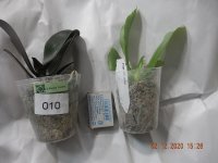 DSCN7818.JPG
