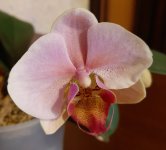 20201130_131147[1].jpg