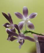 IMG_20201202_230205.jpg
