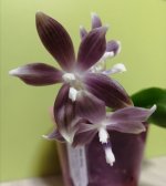 IMG_20201202_230154.jpg