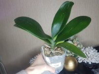 20201202_233022.jpg