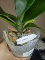 20201202_233037.jpg