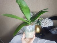 20201202_233100.jpg