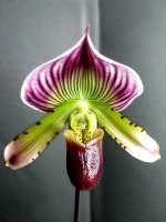 20201103_205757.jpg