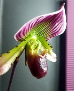 20201103_205819.jpg