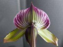 20201103_210053_001.jpg