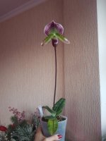 20201106_151410.jpg