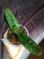 20201107_123340.jpg