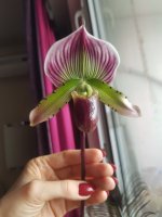 20201107_123323.jpg