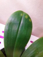 20201203_135411.jpg