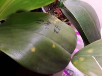 20201203_135442.jpg
