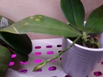 20201203_135536.jpg