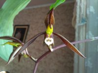 IMG_20201202_122142.jpg