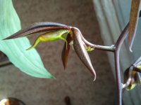 IMG_20201202_122220.jpg