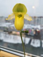 IMG_20201204_155055.jpg