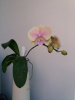 20201205_135046.jpg