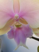 20201205_134026.jpg