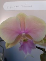 20201205_134328.jpg