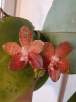20201203_145015.jpg